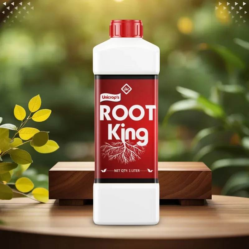 Root King pack