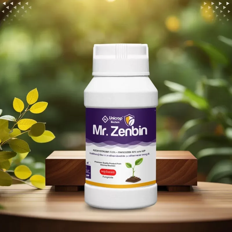 Mr. Zenbin pack